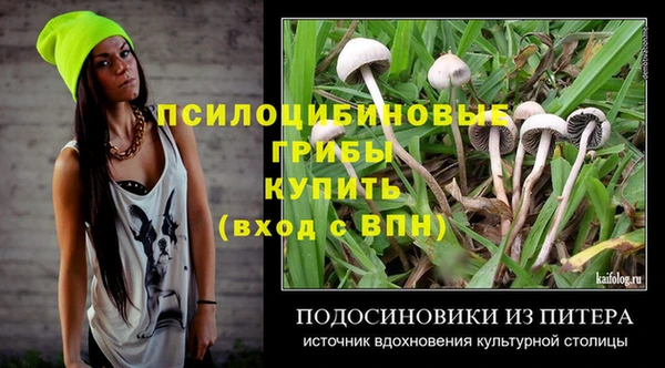 трава Алзамай