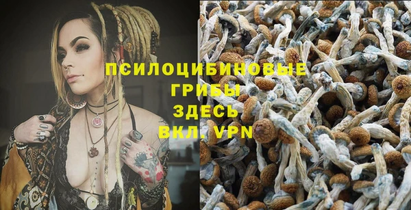 трава Алзамай