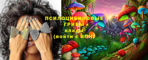 ешки Абаза